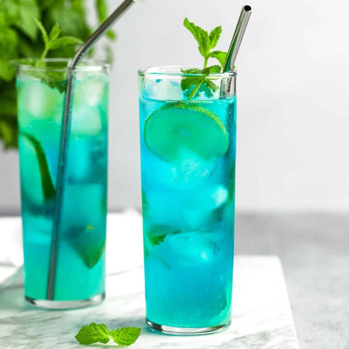 The 10 Best Mojito Flavors - The Littlest Crumb