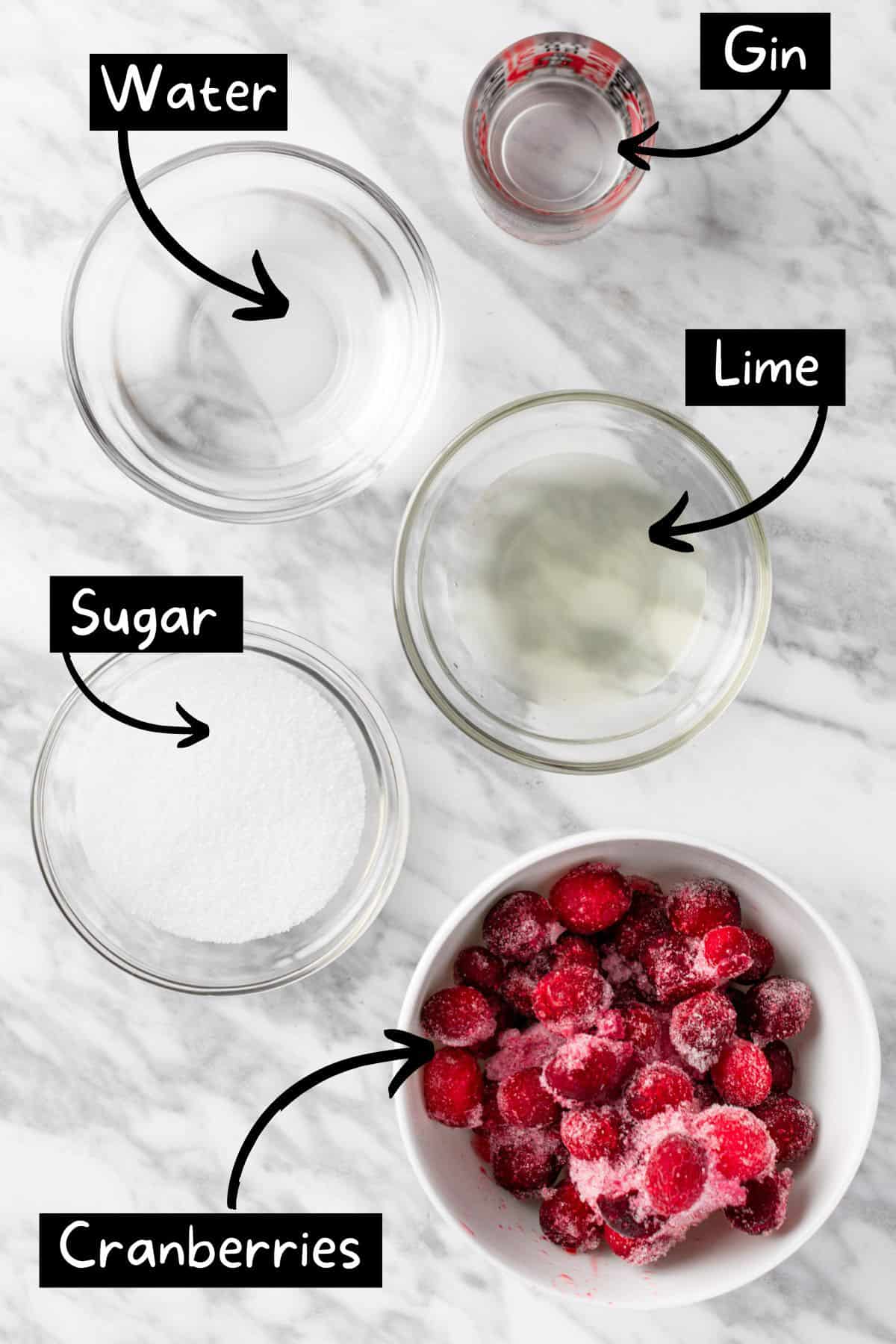 The ingredients needed to make the cranberry gimlet.