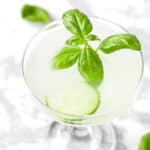 A cucumber basil gimlet garnished with cucumber slices and basil leaves.