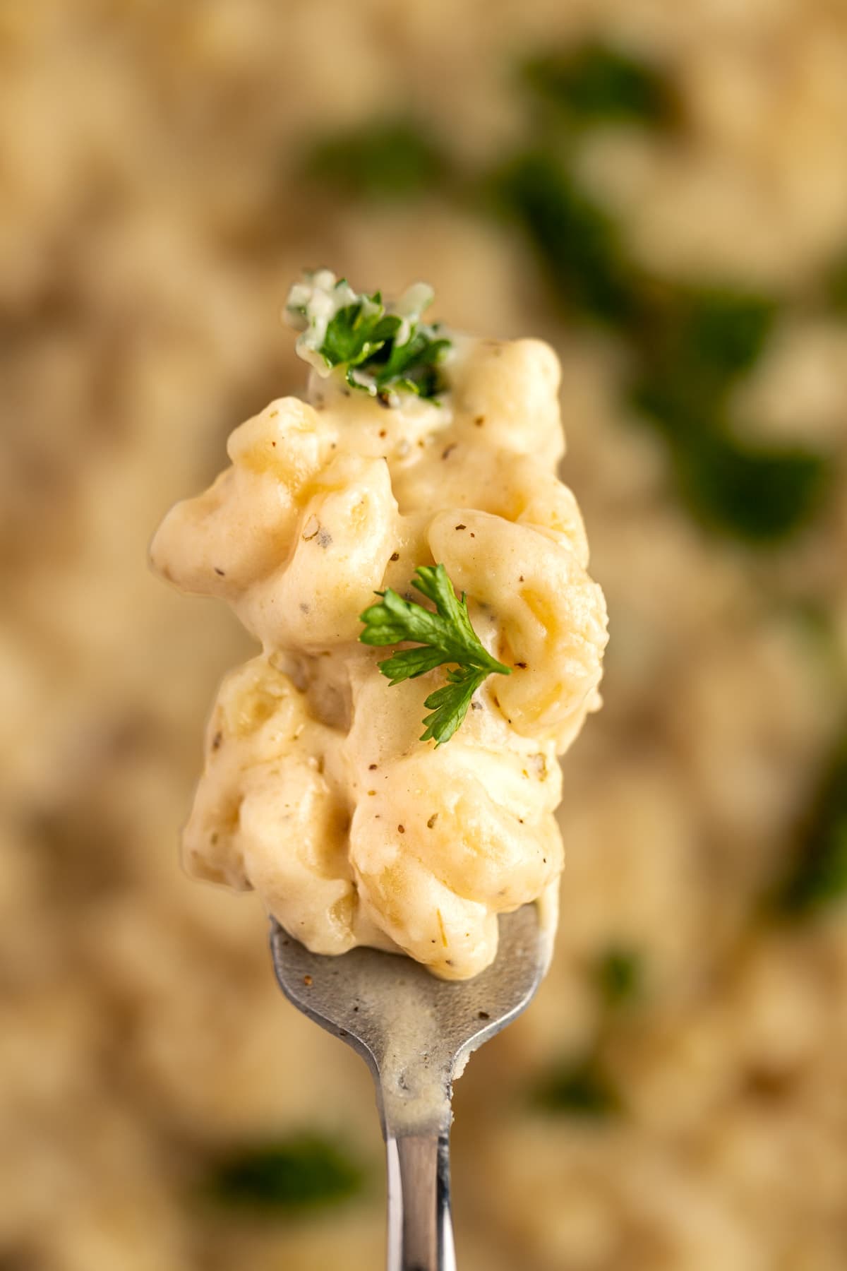 Up close view of a forkful of gouda mac n cheese.