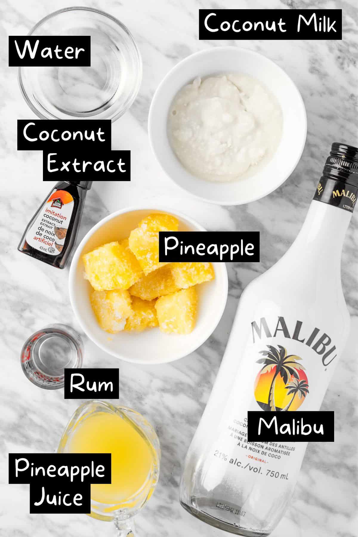The ingredients needed to make the pina colada.