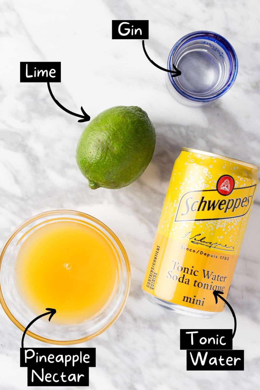 Pineapple Gin Cocktail The Littlest Crumb