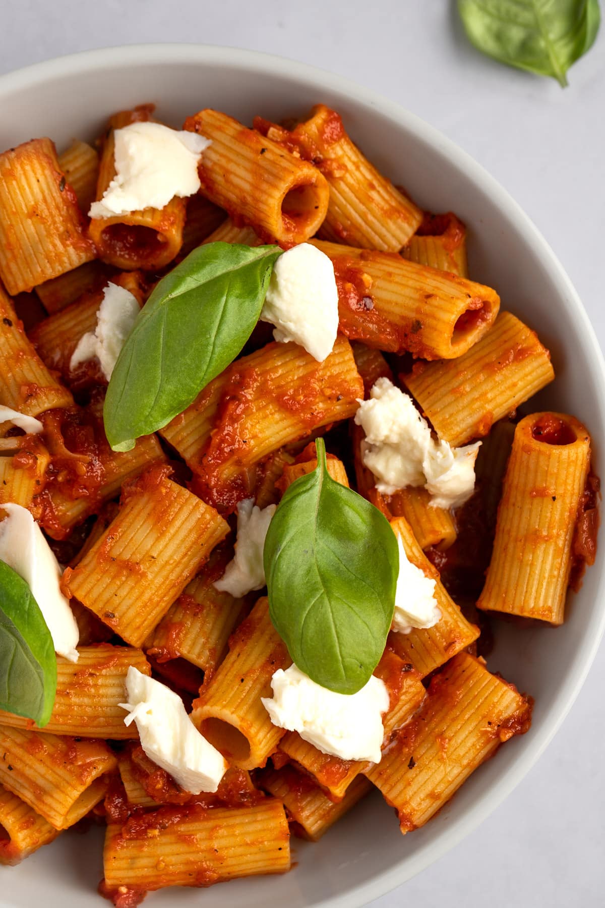 A round white bowl filled with pomodoro pasta.