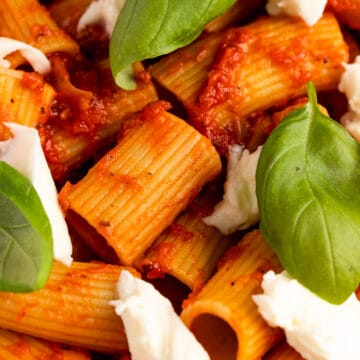 Rigatoni pomodoro pasta topped with fresh basil leaves and chunks of fresh mozzarella cheese.