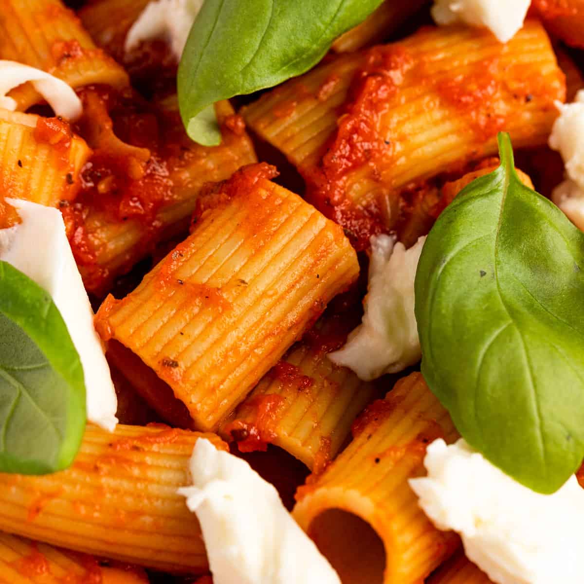 Up close view of rigatoni pomodoro, topped with fresh basil leaves and mozzarella chunks. 